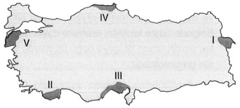 Türkiye'de Nüfus ve Yerleşme örnek soru görseli
