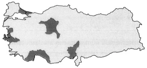 Türkiye'de Nüfus ve Yerleşme örnek soru görseli