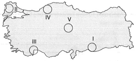 Türkiye'de Tarım örnek soru görseli