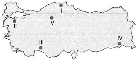 Türkiye'de Madenler ve Enerji örnek soru görseli