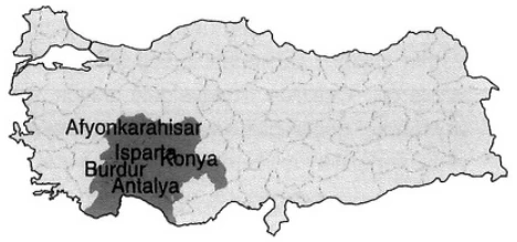 Türkiye'de Tarım örnek soru görseli