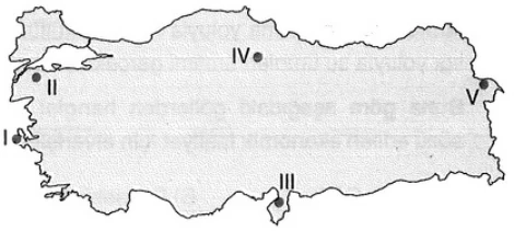 Türkiye'de Madenler ve Enerji örnek soru görseli