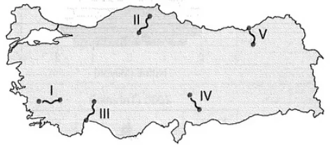 Türkiye'de Ulaşım örnek soru görseli