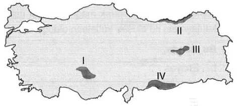 Türkiye'de Tarım örnek soru görseli