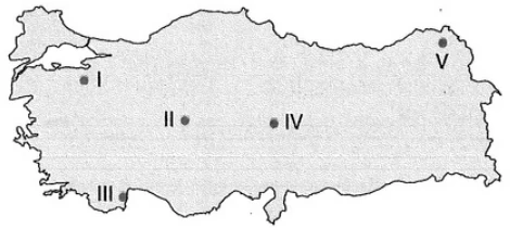 Türkiye'de Turizm örnek soru görseli