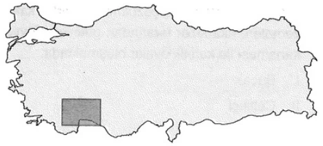 Türkiye'nin Fiziki Özellikleri örnek soru görseli