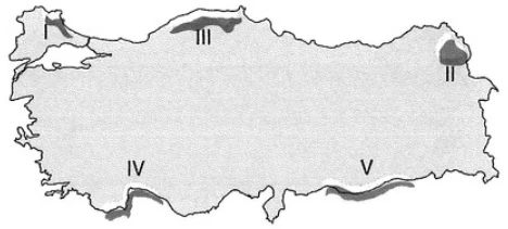Türkiye'nin İklimi ve Bitki Örtüsü örnek soru görseli