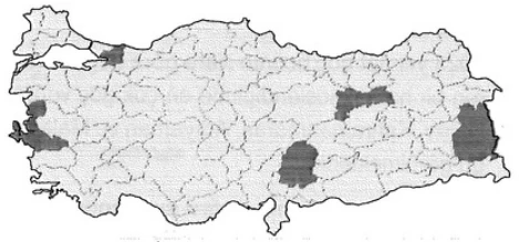 Türkiye'nin Coğrafi Bölgeleri örnek soru görseli