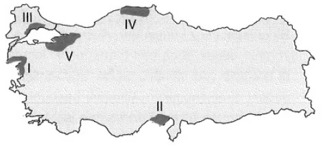 Türkiye'de Sanayi örnek soru görseli