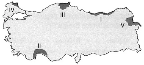 Türkiye'de Nüfus ve Yerleşme örnek soru görseli
